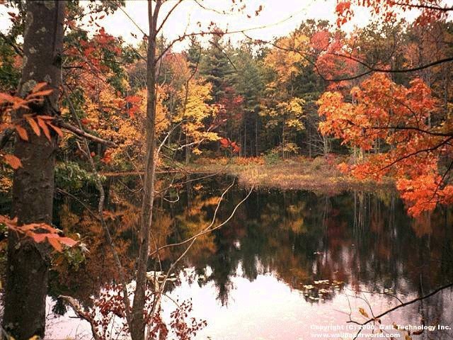 nature