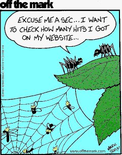 website-hits